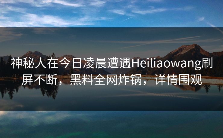 神秘人在今日凌晨遭遇Heiliaowang刷屏不断，黑料全网炸锅，详情围观