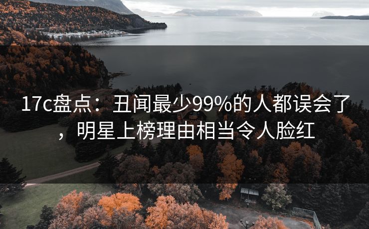 17c盘点：丑闻最少99%的人都误会了，明星上榜理由相当令人脸红