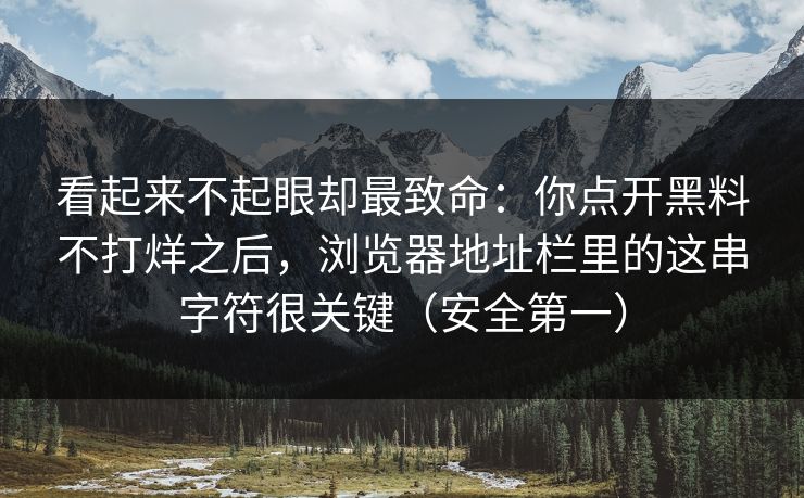 看起来不起眼却最致命：你点开黑料不打烊之后，浏览器地址栏里的这串字符很关键（安全第一）